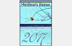 2017 - Nouvelle année